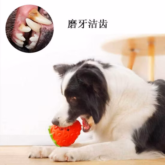 ソフトラバーペットおもちゃ歯科歯ブラシクリーニングインタラクティブおもちゃゴム製食品フィードボール犬ボール犬咀嚼おもちゃインタラクティブペットおもちゃ