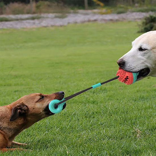 新デザインローリング犬プレイボールパズルと咀嚼のおもちゃペット用おやつゴムボールおもちゃ無限スクロール犬のおもちゃ